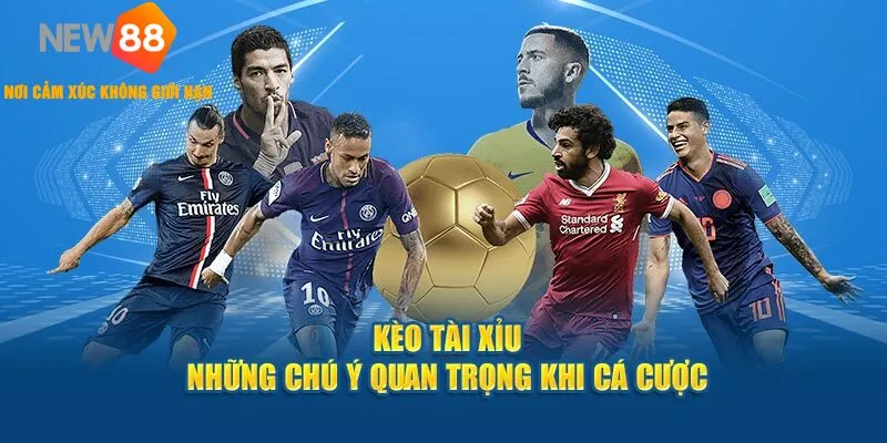 Cách Soi Kèo Bóng Đá Tài Xỉu 🎯 Chuẩn Như Chuyên Gia NEW88 2026 1 Giới thiệu kèo tài xỉu