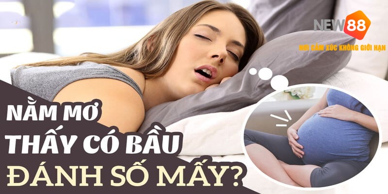 Mơ Thấy Có Bầu Đánh Con Gì? Giải Mã Giấc Mơ Mang Thai Chuẩn 2026 1 Mơ Thấy Có Bầu Đánh Con Gì?